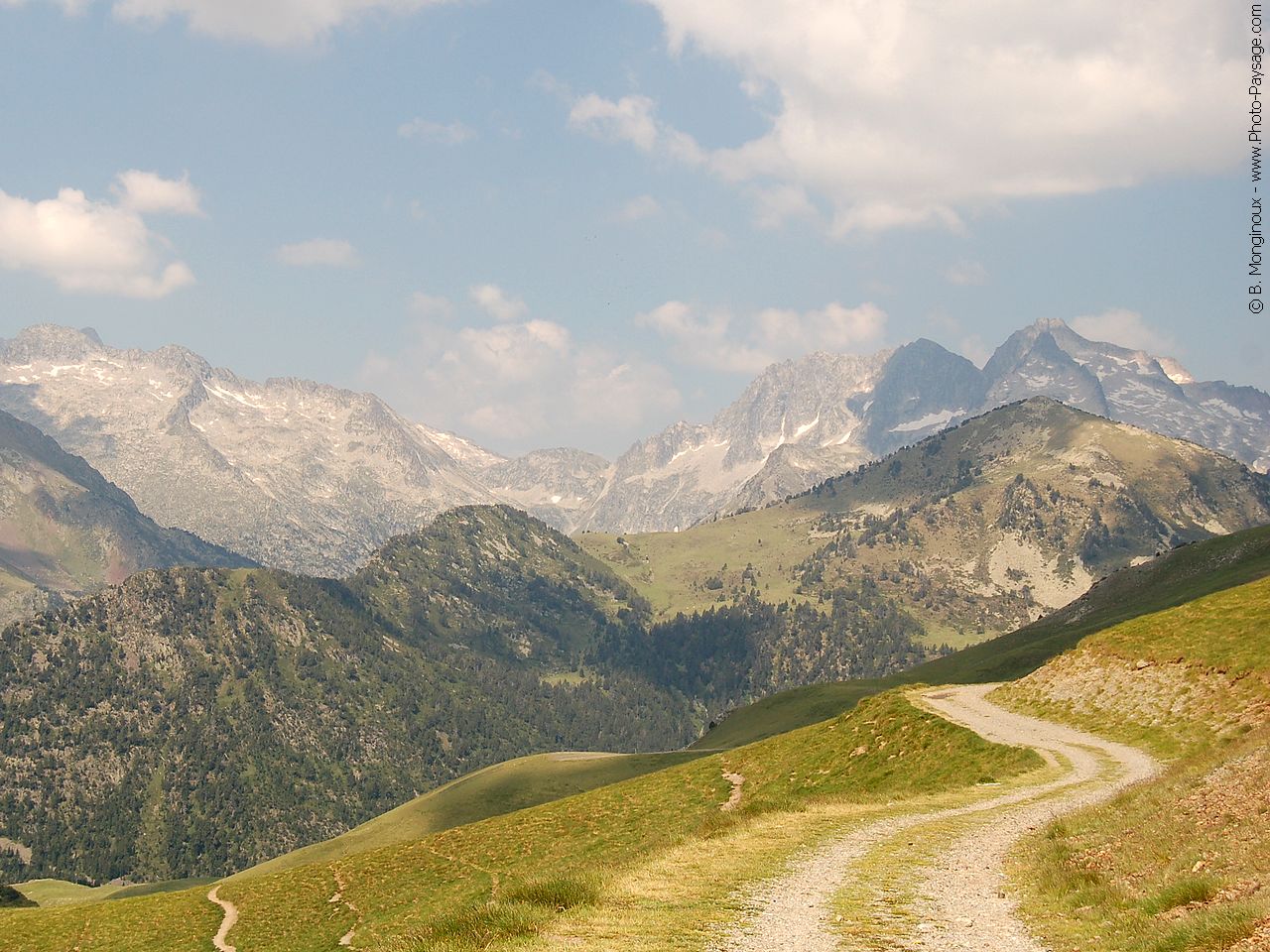 Pyrenees